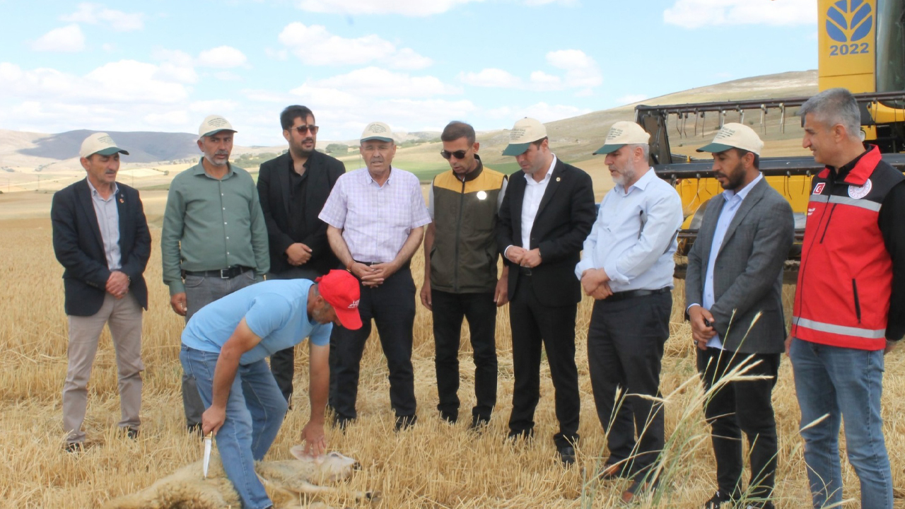 Yozgat Sarıkaya’da Geleneksel Hasat Günü Coşkusu