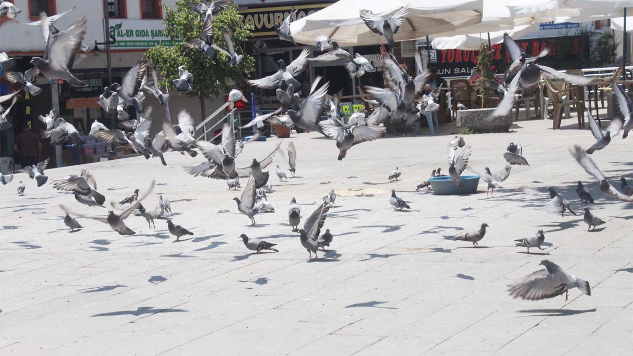 Yozgat’ın Tarihi Un Pazarı: Kültür ve Ticaretin Kalbi