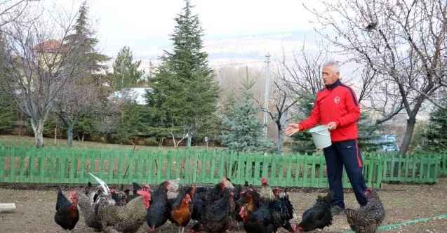 Korona virüsten korunmak için şehir hayatını bıraktı, köyüne yerleşti