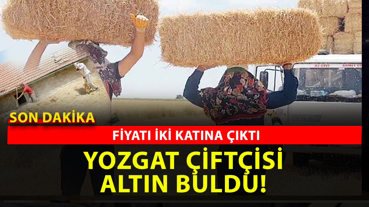 Yozgat çiftçisi altın buldu: kazandırdıkça kazandıran servet!
