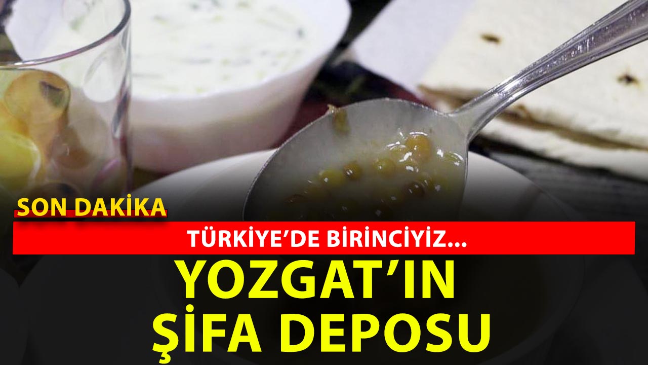 Yozgat'ta Toprak Konuştu: Bu Yıl Mercimek Altın Gibi!