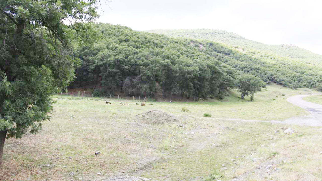 Yozgat’ın En Temiz 5 Yaylası: Havası Şifalı Manzarası Kartpostal Gibi