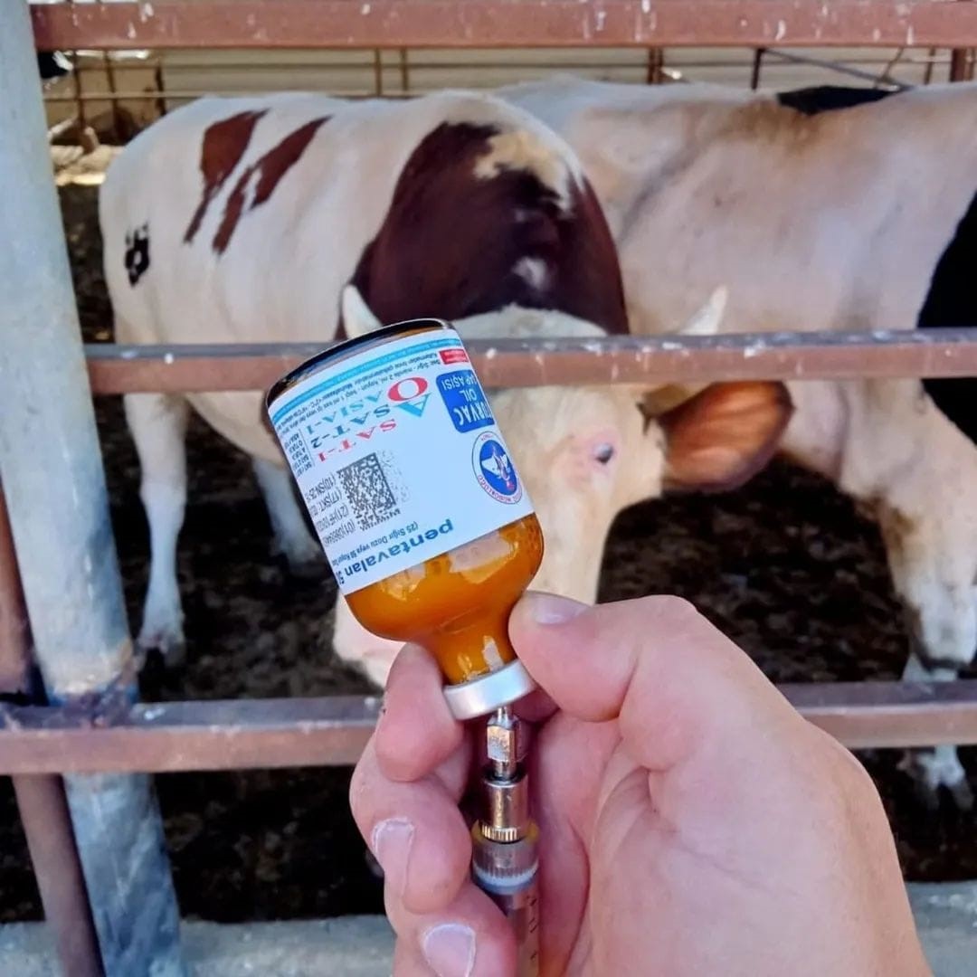 Yozgat'ta kapatılmıştı: Tekrar Açıldı!