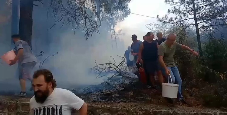 Kocaeli'nde kova dolusu dayanışma: helal olsun size...