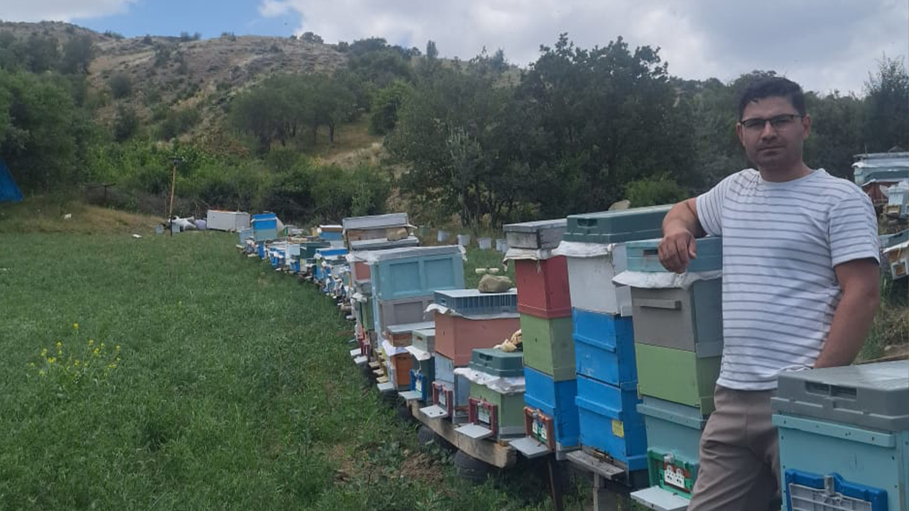 Yozgat'ta Genç Girişimci Yusuf Çetiner Arıcılık Sektörüne Yozgat Arı Evi İle Damga Vuruyor