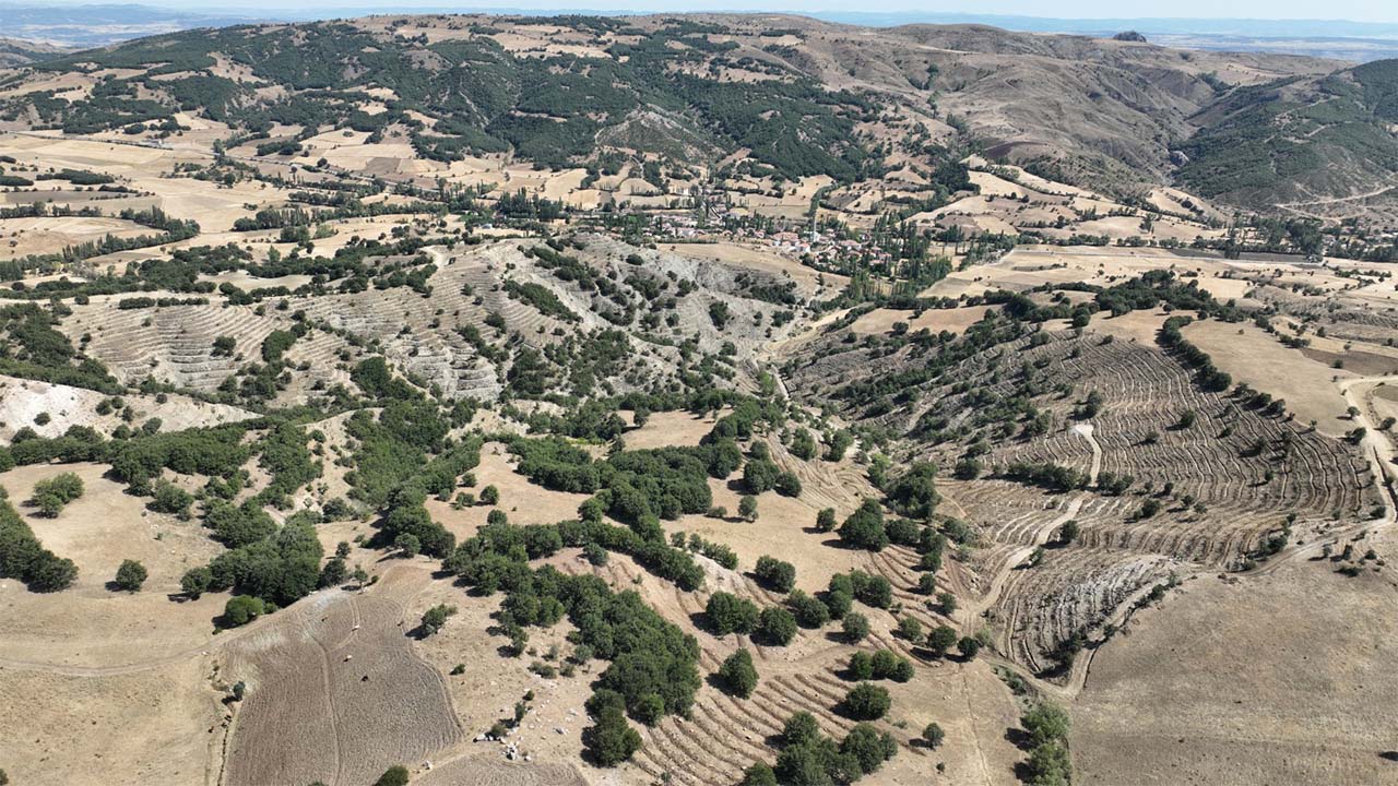 Çekerek Nehri Hayat Buluyor: TULİP Projesiyle Doğa Yeniden Canlanıyor