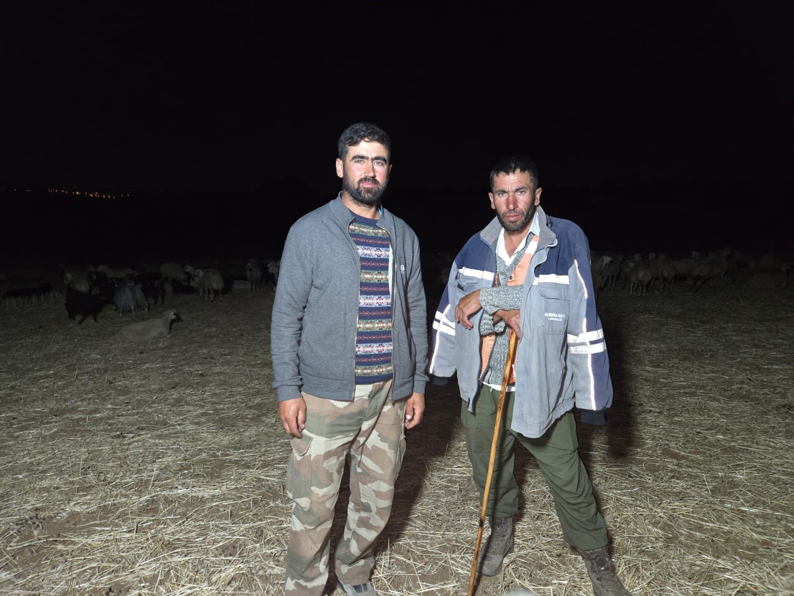 Yozgat’ta Çobanlar Kavurucu Sıcaklara Gece Otlatma ile Çözüm Buldu