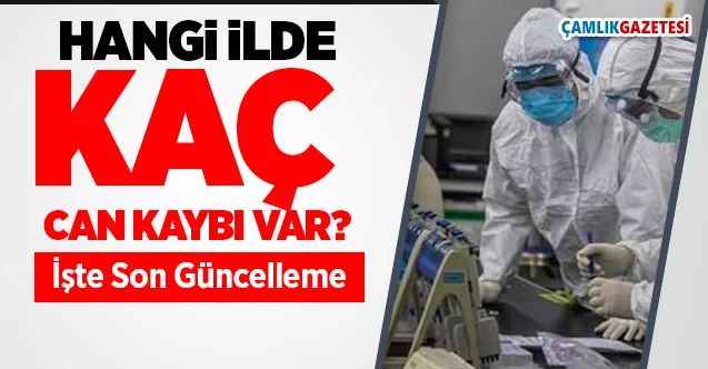 Hangi ilde kaç kişi hayatını kaybetti? Yozgat'ta kaç kişi hayatını kaybetti