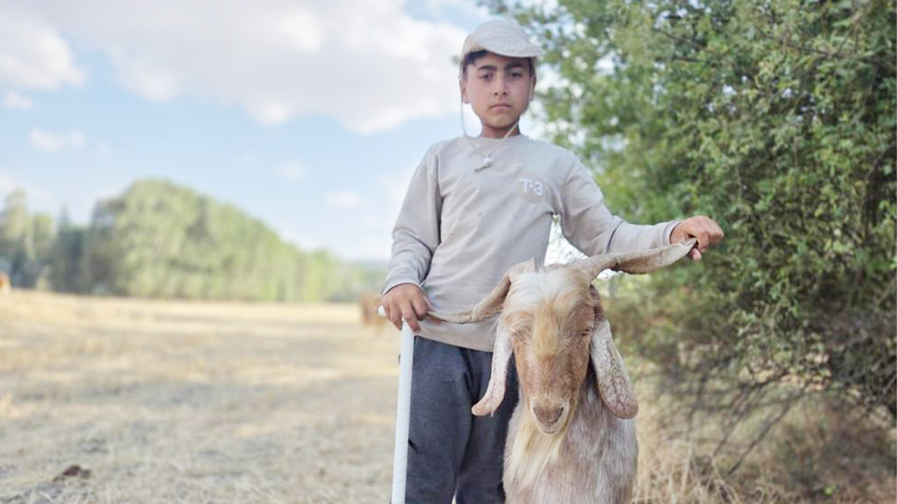 Yozgat’ta Küçük Çiftçinin İlham Kaynağı Görenleri Şaşkına Çeviriyor