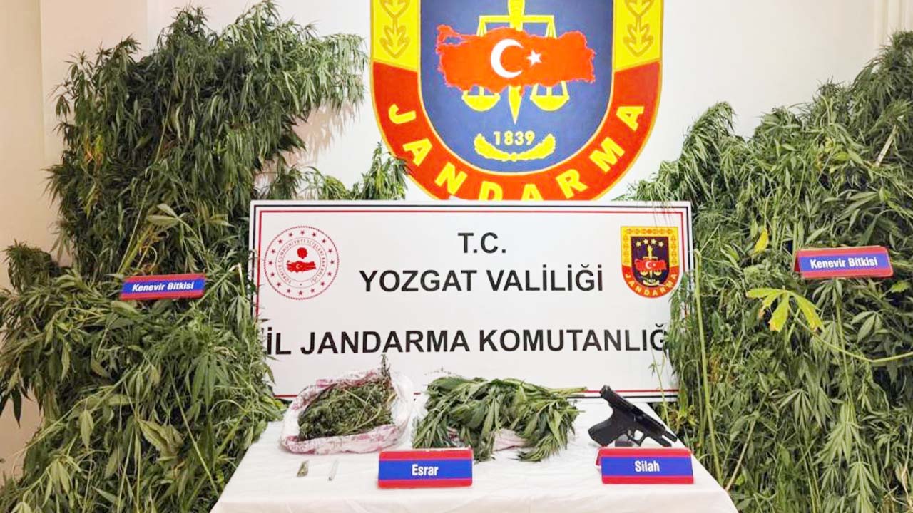 Yozgat’ta Uyuşturucu Operasyonu: Kök Kenevir ve Esrar Ele Geçirildi