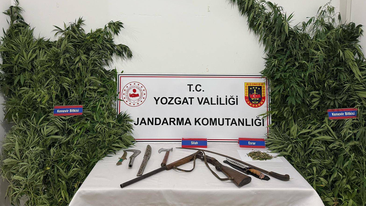 Yozgat’ta Kenevir Tarlasına Operasyon: Cephanelik Gibi Ev…