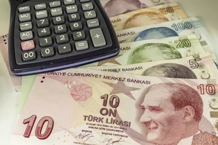 SED Destek Ödemeleri Hesaplara Yatırıldı