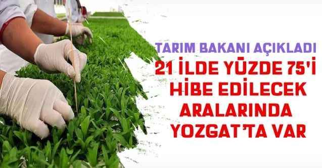 Tarım ve Orman Bakanlığı çiftçiye bedava tohum dağıtacak