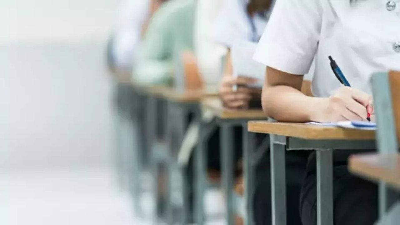 Çayıralan’da kardelenler solmayacak