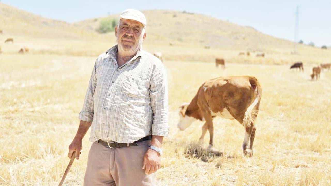 Yozgat’ta 40 Yıllık Çoban Sağlığının Sırrını Açıkladı!