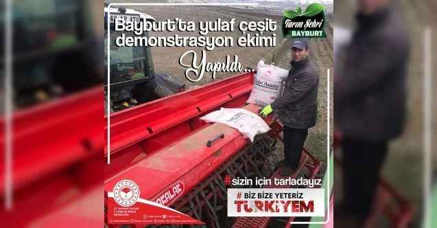 Bayburt’ta yulaf çeşit demonstrasyon ekimi yapıldı