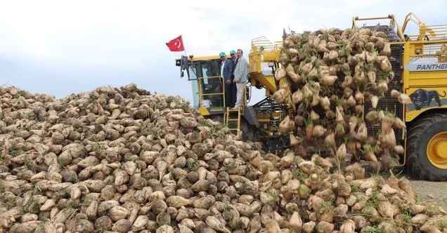Sivas şeker pancarı üretiminde 6’ncı sırada