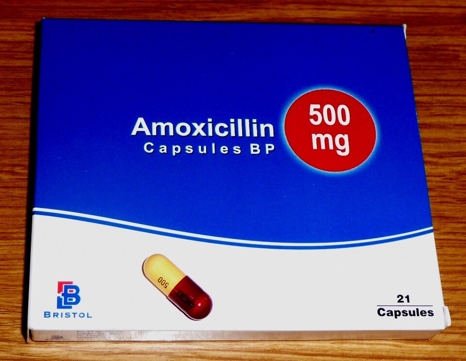 Amokxisillin + Klavulanik Asit Nedir? Kimler Kullanabilir
