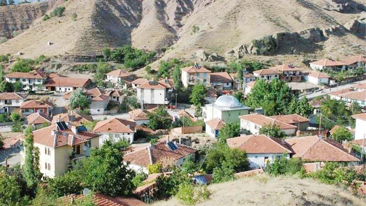 Aydıncık hangi soydan gelir? Aydıncık’ın kökenini biliyor musunuz?