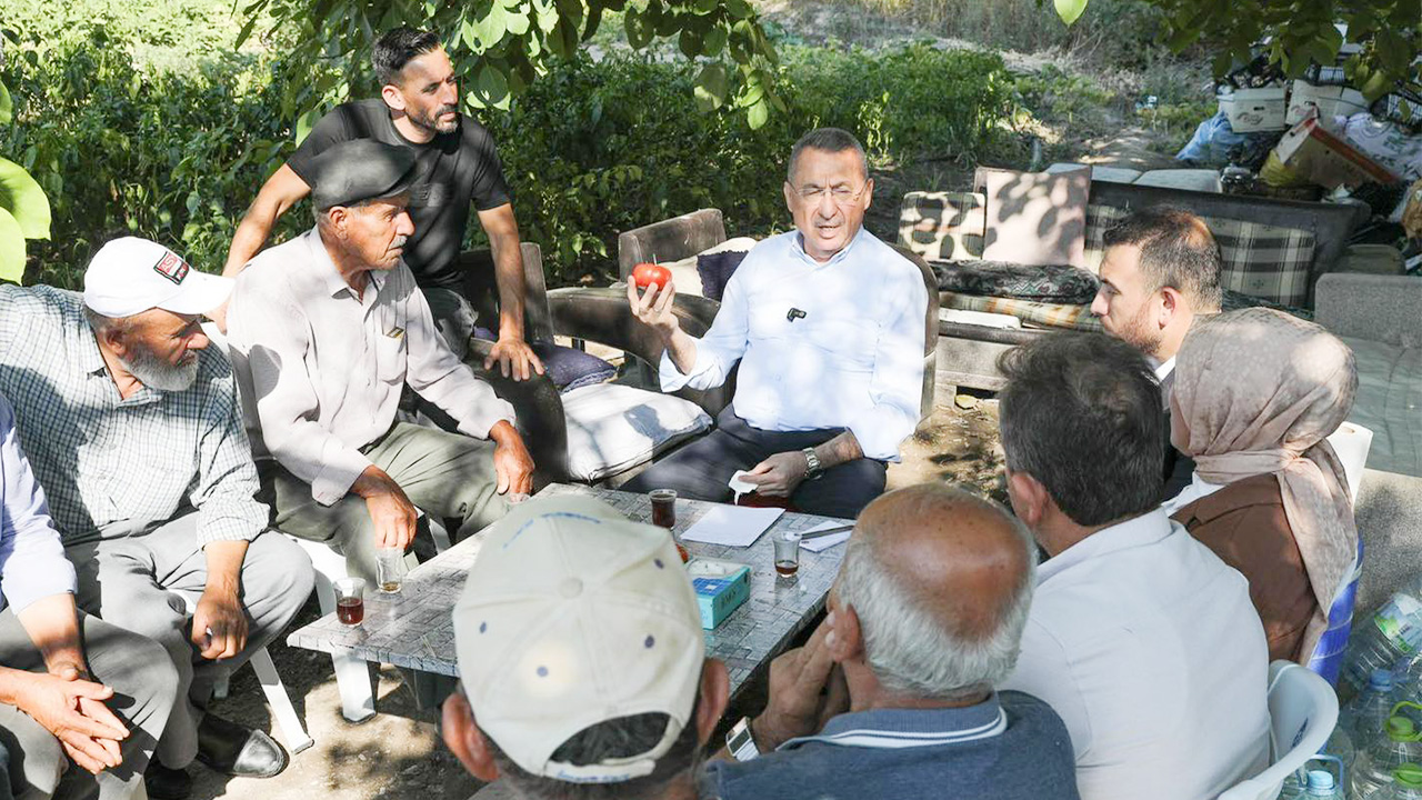 AK Parti Ankara Milletvekili Fuat Oktay çiftçinin hasadına katıldı