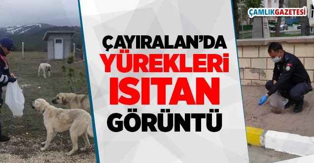 Çayıralan'da yürekleri ısıtan görüntüler