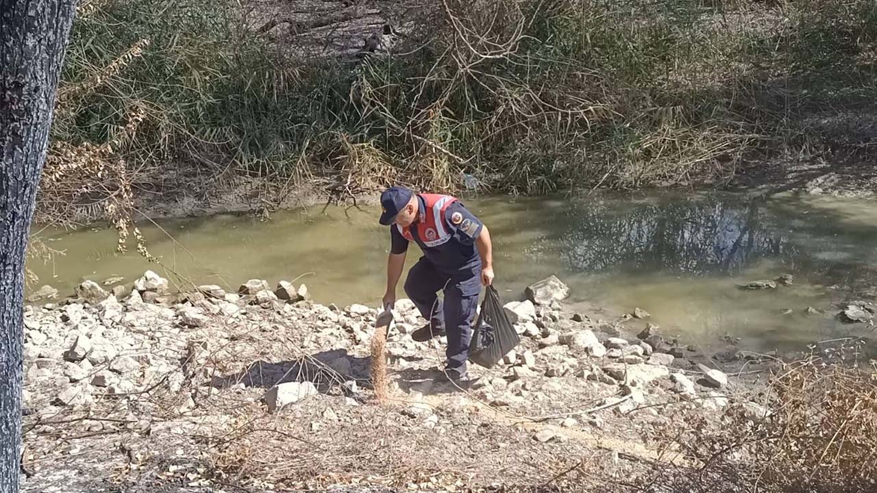 Yerköy’de Orman Yangınlarına Karşı Karanlık Dere’de Koruma Timi Sahada!
