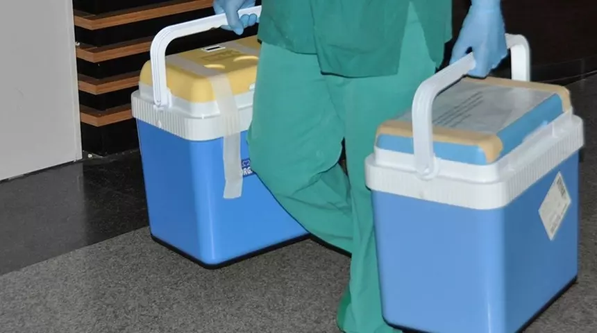 Organ Bağışında Dijital Dönem Başladı: e-Devlet ve e-Nabız Üzerinden Yapılabilecek