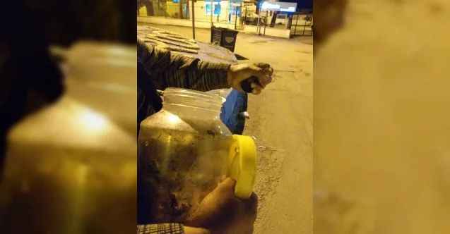 Turşu bidonundan sincap çıktı