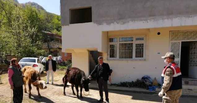 Samsun kayıp hayvanlar bulundu