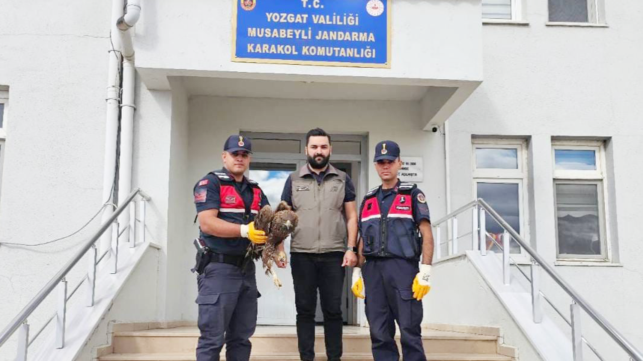 Yozgat'ta Jandarma'nın güvenli kollarında bu kez bir kartal var!