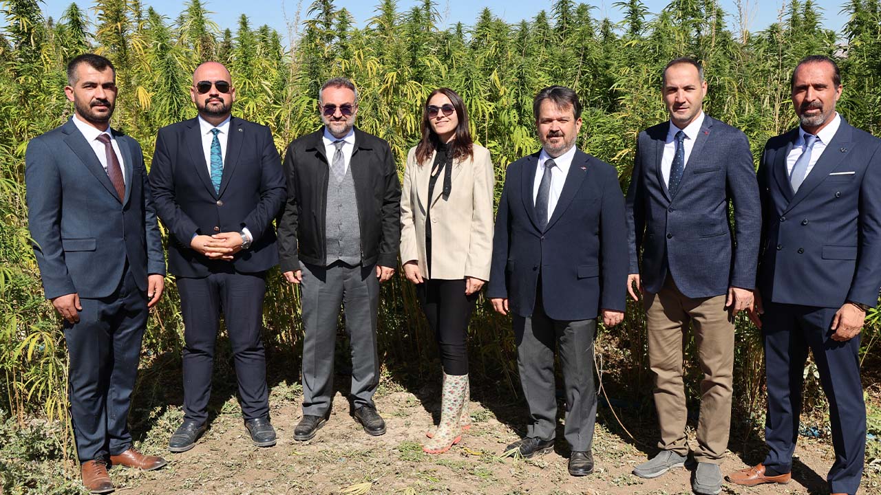 Yozgat Bozok Üniversitesi Rektörü Yaşar Katılım Sağladı! Kenevirde Hasat Zamanı