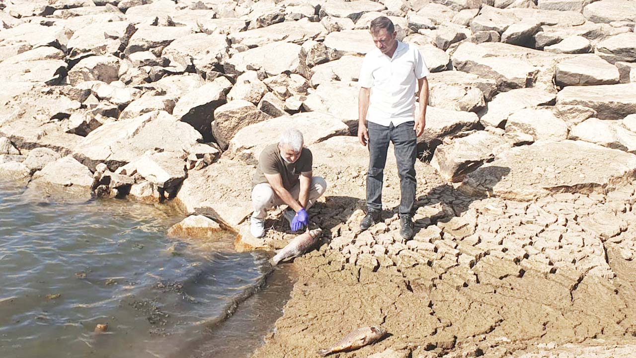 Yozgat’ta Balıklar Can Verdi: Gölette Su Seviyesi Alarm Veriyor!