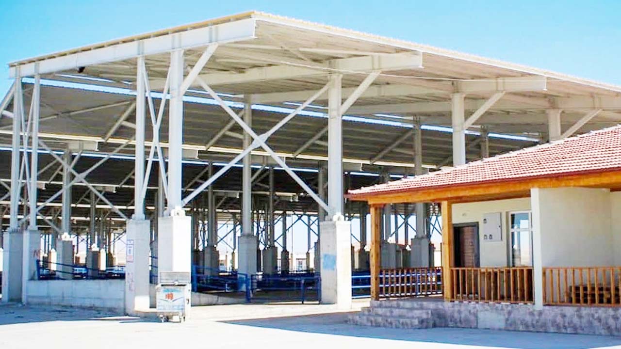 Yozgat’ta Şap Hastalığı Riski Artıyor: Boğazlıyan Hayvan Pazarı Kapandı