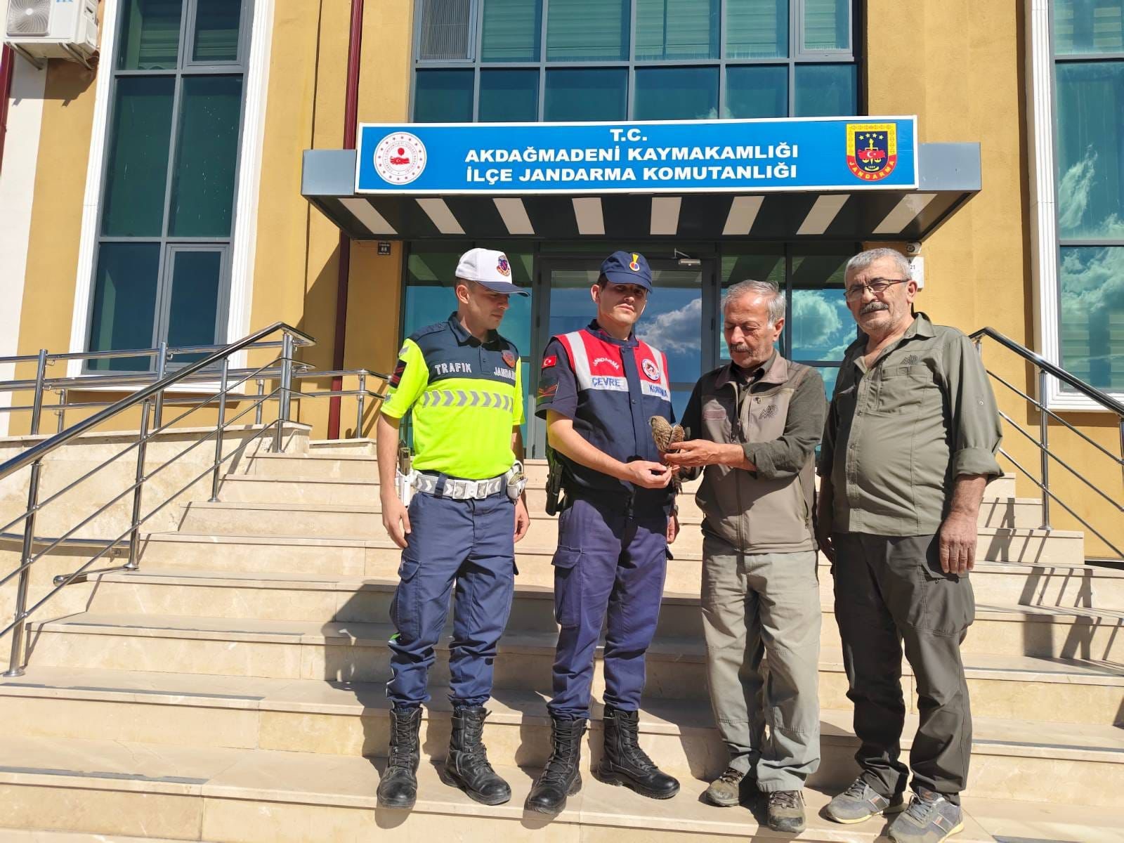 Yozgat’ta Yaralı Çakır Kuşu Jandarma Tarafından Kurtarıldı