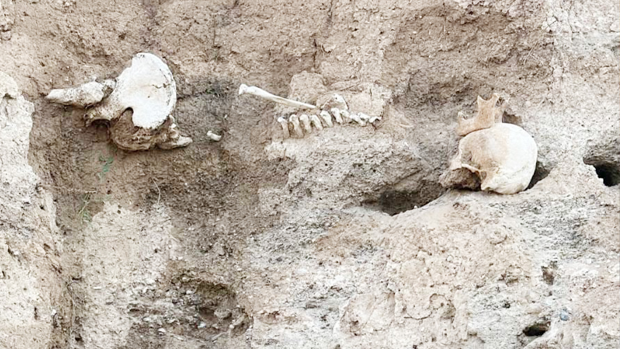 Son dakika! Yozgat’ta Toprak Altından İnsan Kemikleri Çıktı