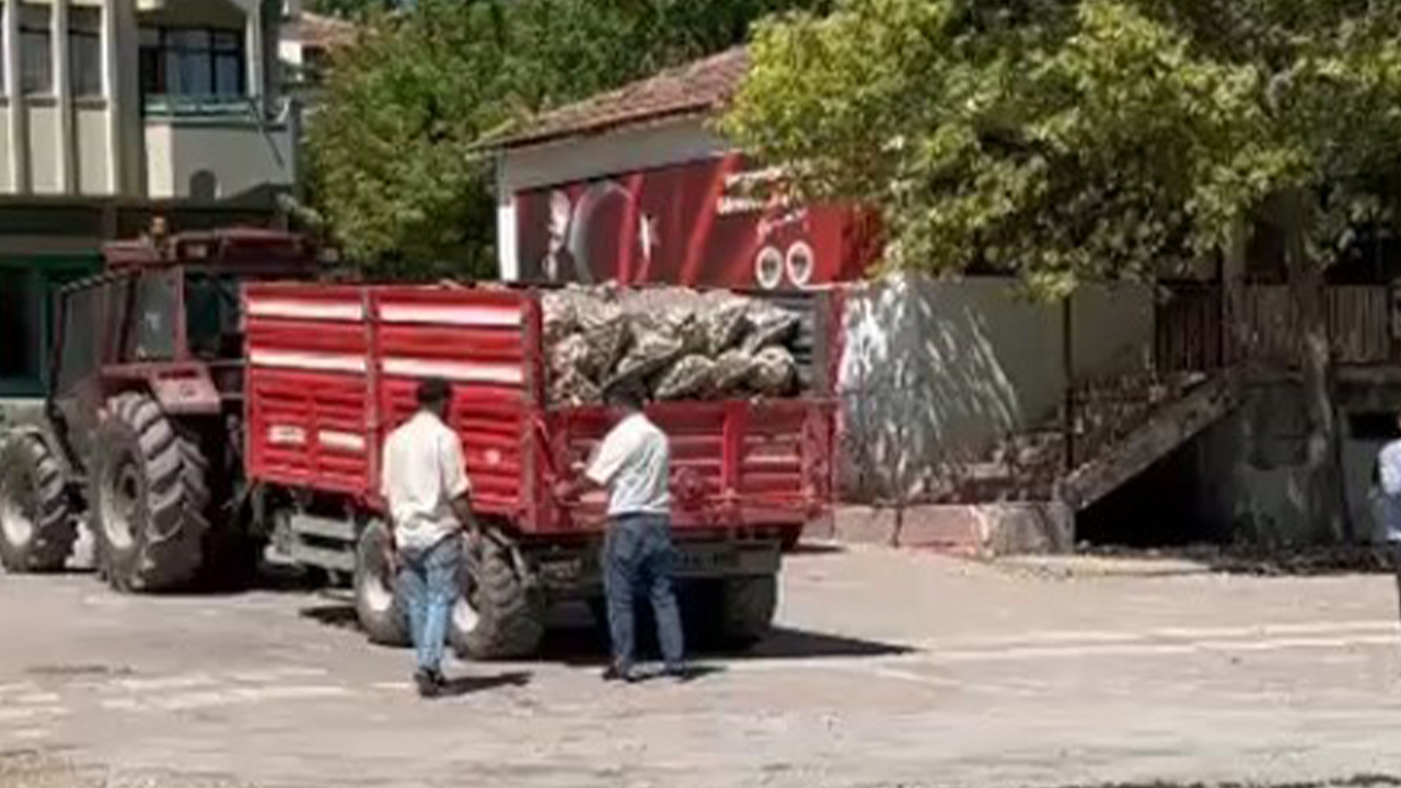 Yozgat’ta Patates Şovu Ceza Getirdi: Komisyon Toplanamadı