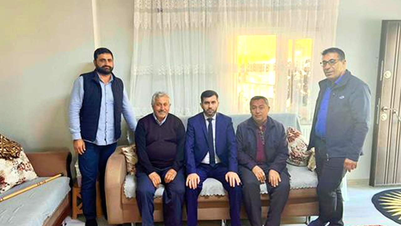 Şefaatli ulu çınarlarına sahip çıkıyor