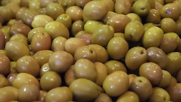 Türkiye, Sofralık Zeytin İhracatında Tarihi Rekora Ulaştı