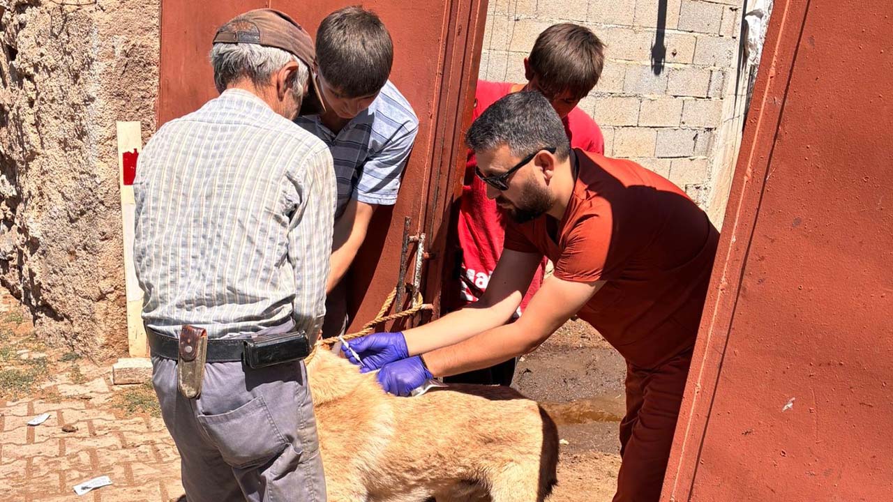 Yozgat’ta Kayıt Ettirmeyen Yandı! 8.306 TL Ceza Kapıda