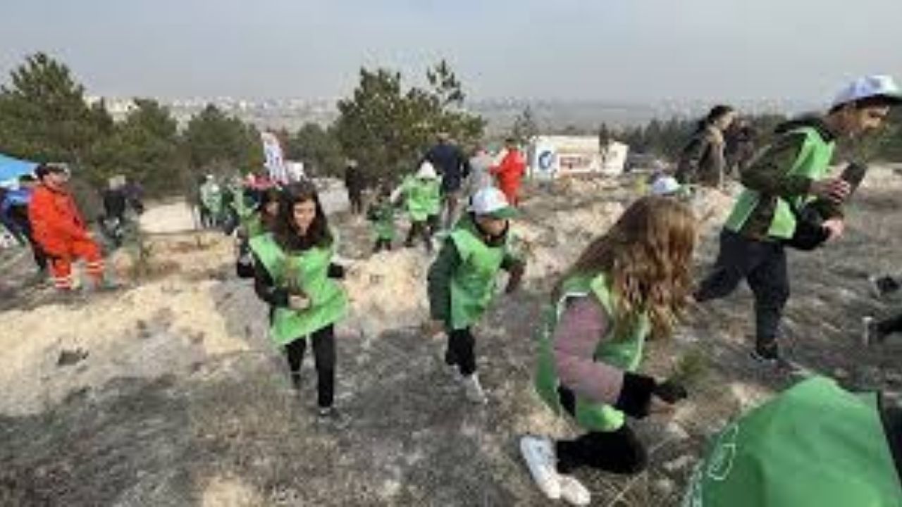 11 Kasım Milli Ağaçlandırma Günü’nde Ankara’da 423 Bin Fidan Toprakla Buluşacak