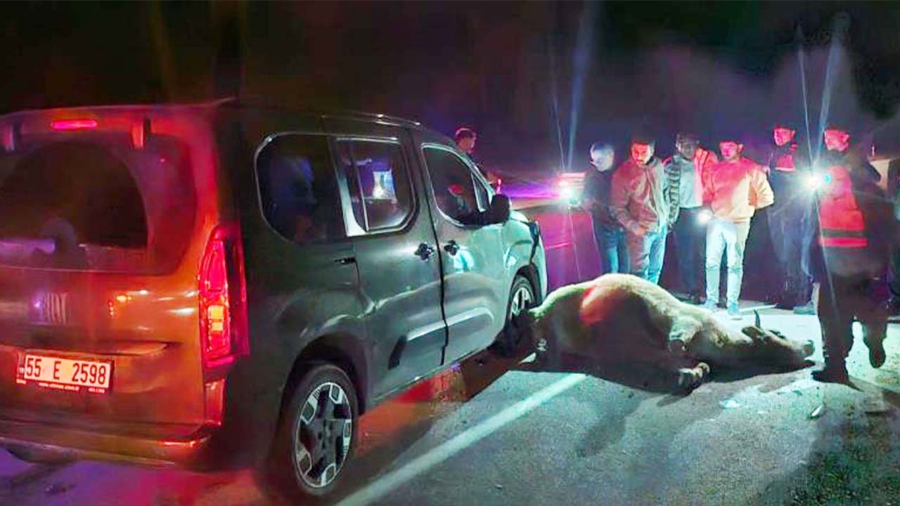 Yozgat-Alaca Yolunda Yola Fırlayan Dana Zincirleme Kazaya Yol Açtı: 3 Yaralı