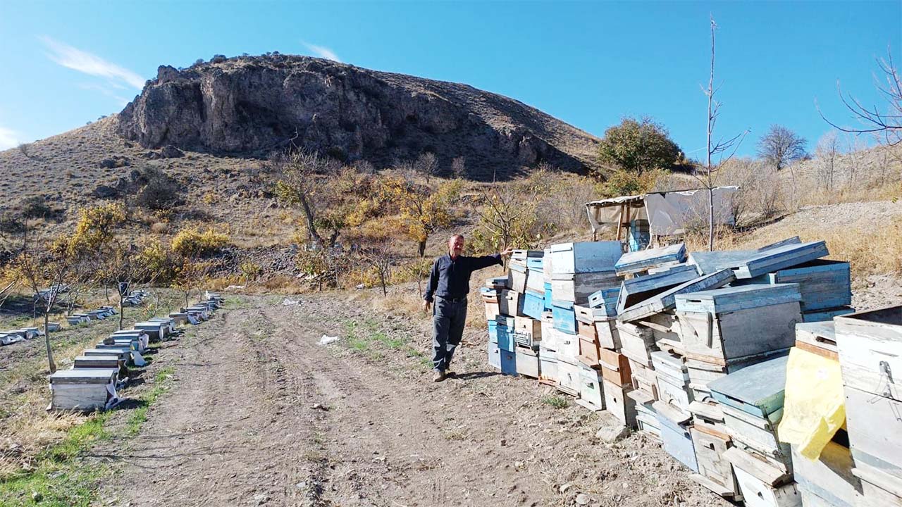 Yozgatlı Arıcı Gözlerine İnanamadı: Bal Porsuğu 51 Kovanı Parçaladı!