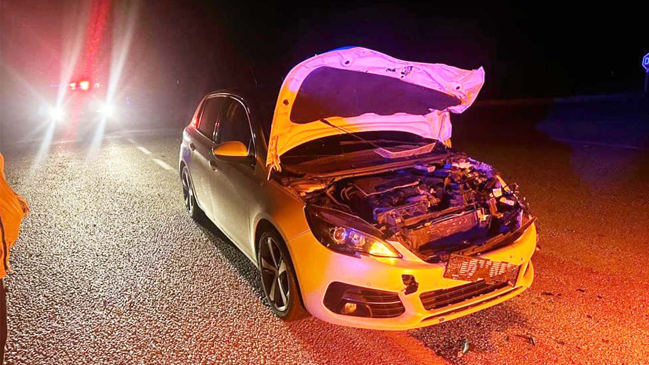 Yozgat-Çorum Karayolunda Araç Danaya Çarptı: İşte Detaylar…