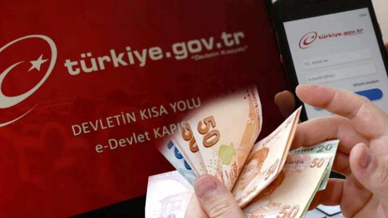 E-Devlet Üzerinden Meslek Kodu Uyarısı: Küçük Bir Hata Emekliliği Geciktirebilir