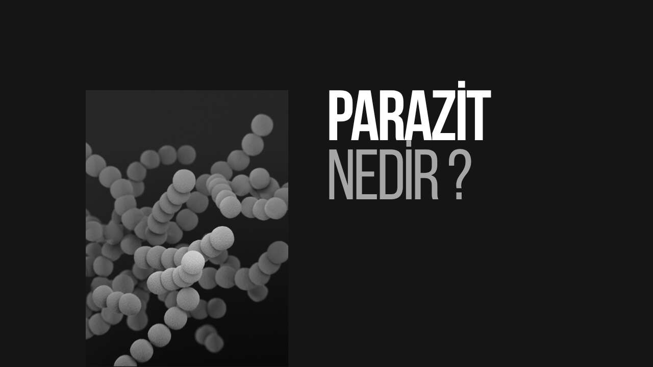 Parazit Bulaşmasını Önlemenin Yolları