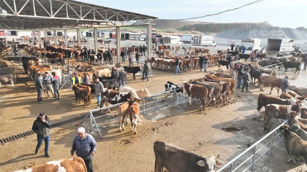 Sorgun Hayvan Pazarı 5 Ay Sonra Kapılarını Yeniden Açtı