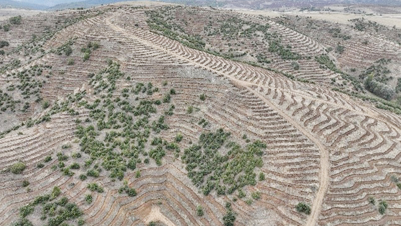 Yozgat’taki o proje 2025’te rekor destek ve ağaçlandırma çalışmalarıyla hız kazandı