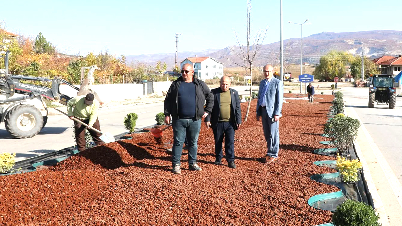 Yozgat’ın ilçesinde refüj taşları çiçek açtı