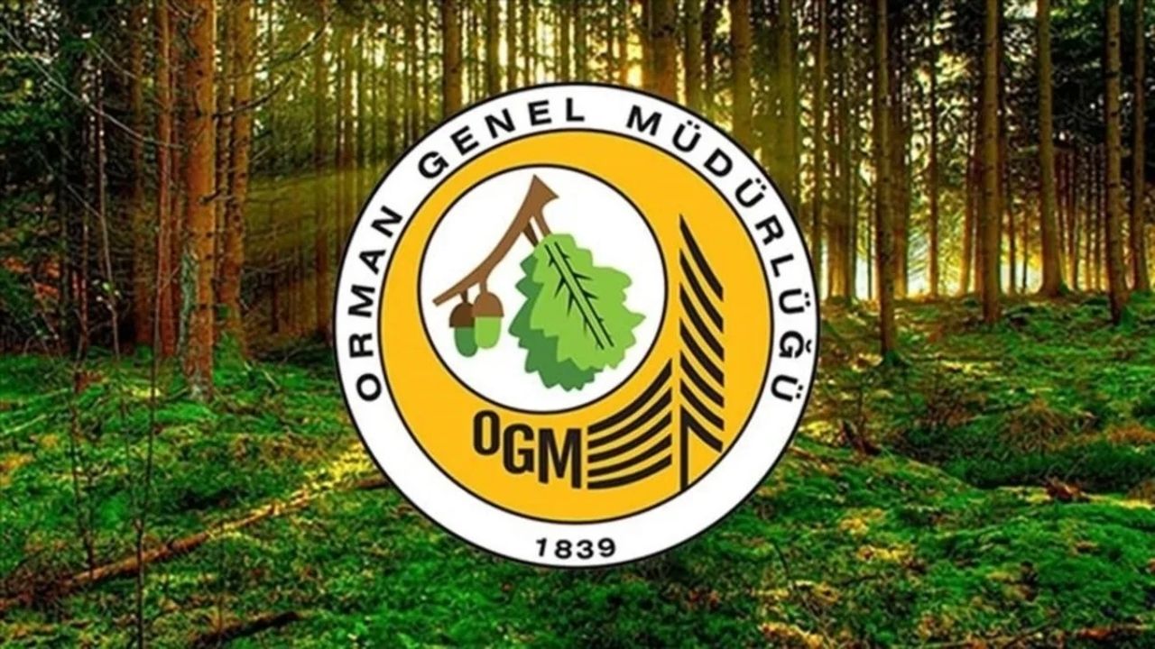OGM’den 496 Personel Alımı: Yozgatlı Adaylar Başvuru Detaylarını Merak Ediyor
