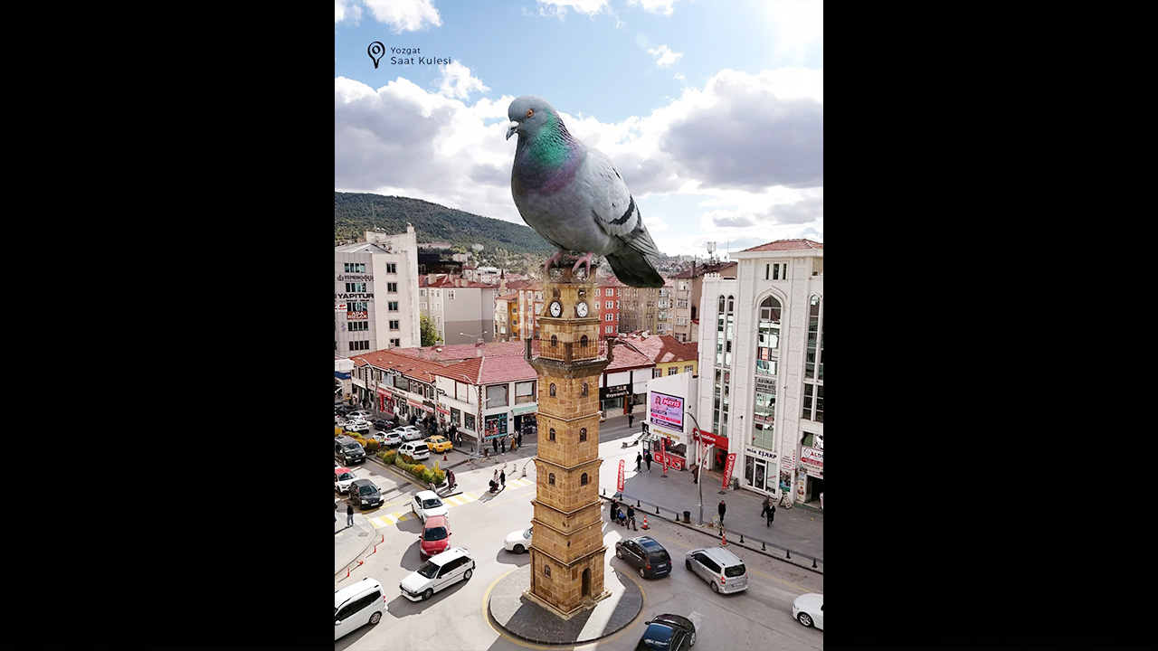 Yozgat’ın doğal güzelliklerine bir de bu açıdan bakalım!